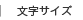 文字サイズ